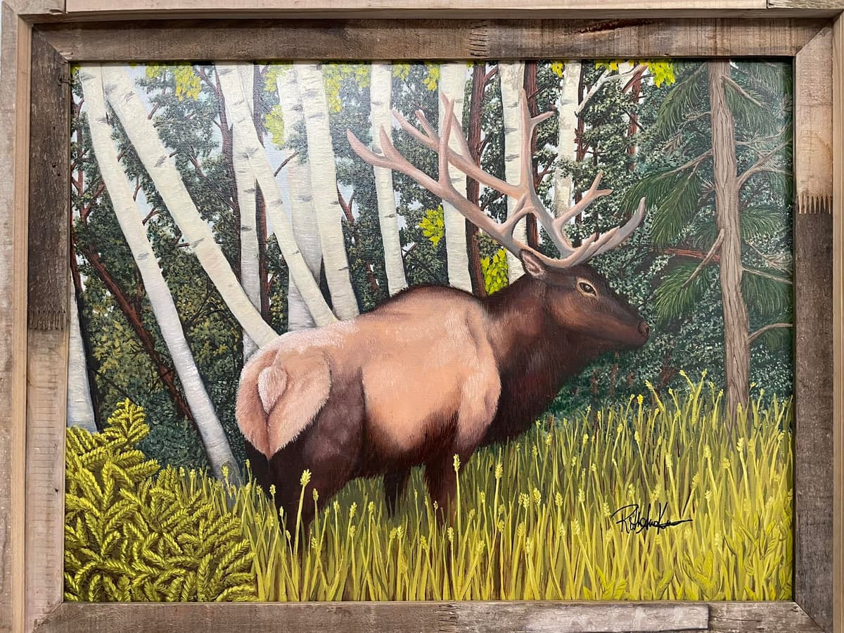 Original fine art on display